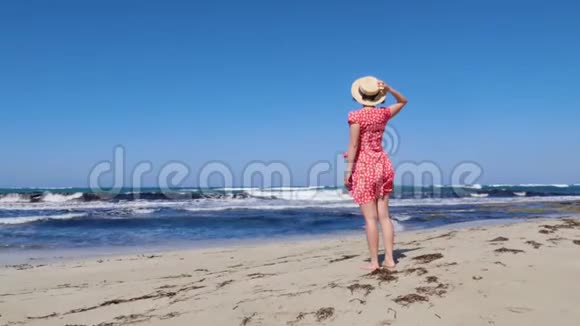 年轻迷人的女人拿着她的帽子而红色的裙子正在大风中拍打她站在空荡荡的海滩上看着拖视频的预览图