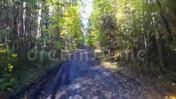 波夫汽车驾驶射击沿着美丽的秋林路行驶视频的预览图