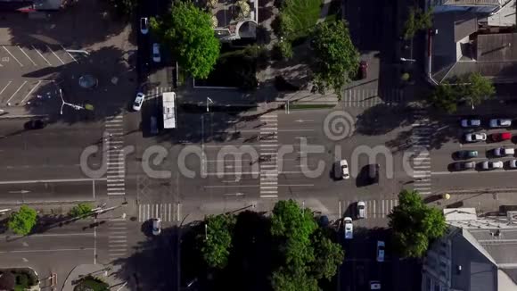 无人机视野车辆交叉口的空中视野在树下飞行视频的预览图