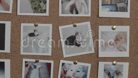 人与猫从软木板打开照片视频的预览图