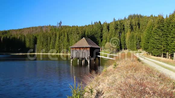年轻的徒步旅行者走在有池塘木楼和森林的美丽风景中视频的预览图