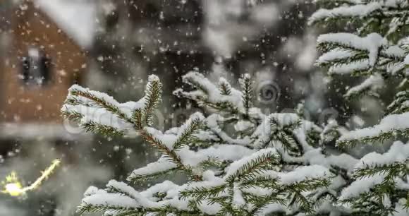 圣诞装饰树在冬季降雪和森林背景下闪烁的灯光寒假4k动画视频的预览图