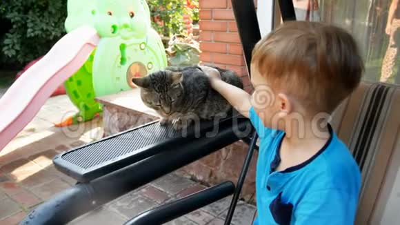 4k镜头3岁幼童抚猫坐在花园长椅上视频的预览图