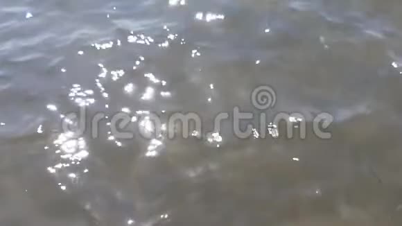 Tyrrhenian海中的暗海水视频的预览图