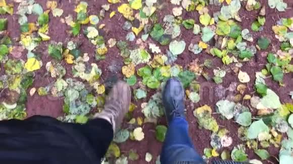 男人和女人沿着城市公园五颜六色的秋叶走着特写腿部和鞋子视图视频的预览图