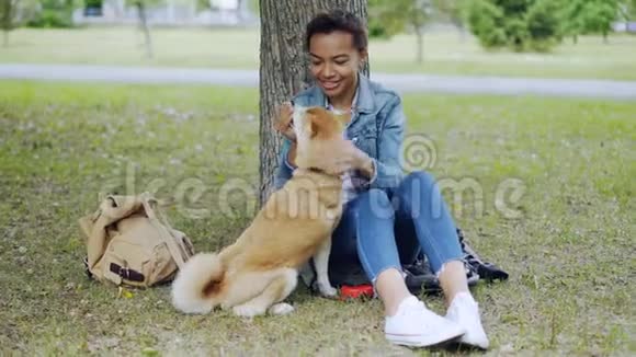 狗主人非裔美国女孩正在喂养西巴伊努小狗然后在夏天在公园放松爱视频的预览图