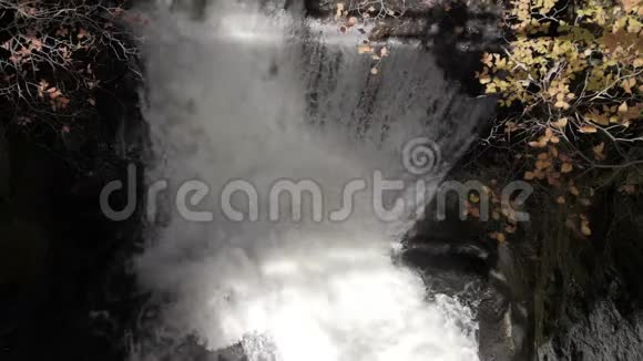 秋天树林中带黄叶的瀑布和溪流的俯视图视频的预览图