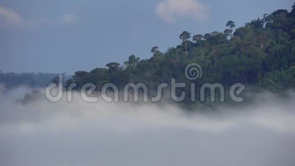 晨雾穿山运动积云随风而去在khaokopheetchabuntha的雾视频的预览图