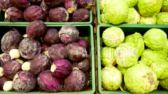 超市杂货店里的蔬菜分类包括白菜芹菜西兰花视频的预览图