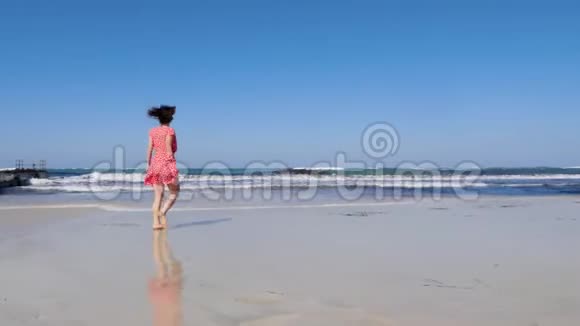 年轻迷人的女人走向海滩上的相机享受阳光和风海上码头蓝天和暴风雨波浪视频的预览图