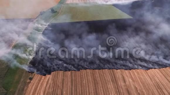 野火燃烧着农村的黑灰雾视频的预览图