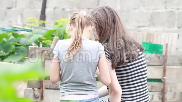 两个孩子背靠着摄像机坐着聊天视频的预览图