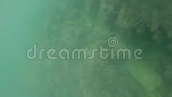 摄像机的POV在水下混沌地移动到海里然后漂浮在高加索人面前视频的预览图