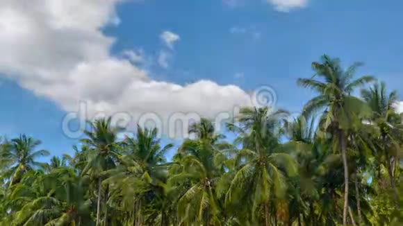 延时视频阳光明媚的一天椰树在蓝天背景上阴云密布视频的预览图