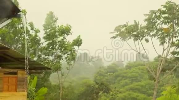 厄瓜多尔亚马逊雨林上空的雨水视频的预览图