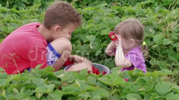 快乐的孩子用草莓遮住眼睛视频的预览图