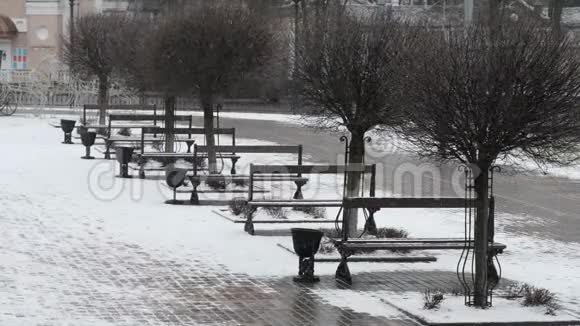 在雪地里坐在广场上贝拉鲁斯视频的预览图