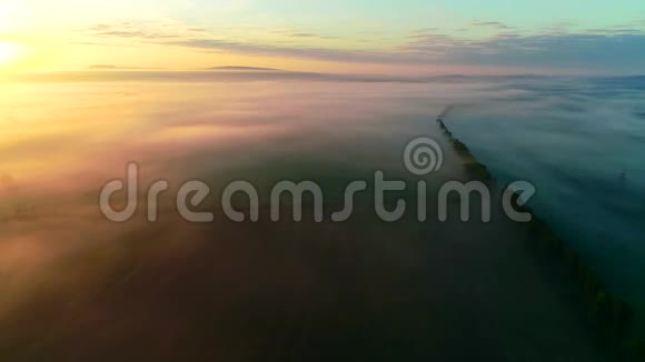 4K魔法空中拍摄日落时森林树梢的雾霭视频的预览图