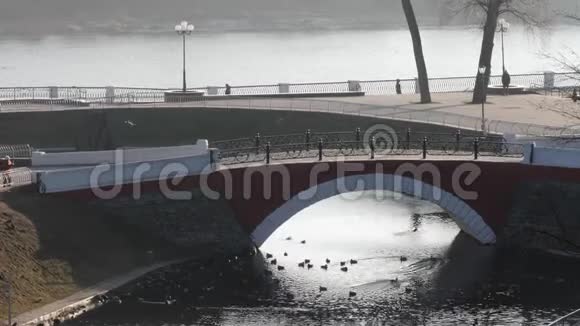 湖上有鸭子的驼背桥戈梅尔贝拉鲁斯视频的预览图