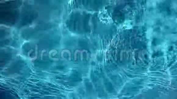 池中水水在阳光下闪闪发光视频的预览图