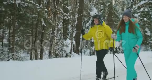 在情人节前夕穿着蓝色夹克衫的微笑女孩和男朋友一起在森林滑雪慢慢慢慢视频的预览图