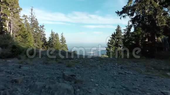 山顶上一片常绿森林的空中镜头可以俯瞰温哥华市视频的预览图