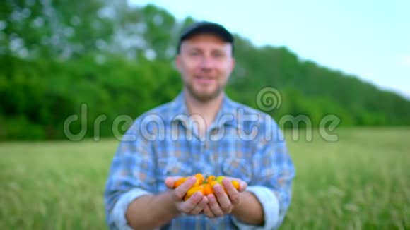 农业和耕作农民男子肖像展示蔬菜番茄农民市场番茄樱桃有机视频的预览图