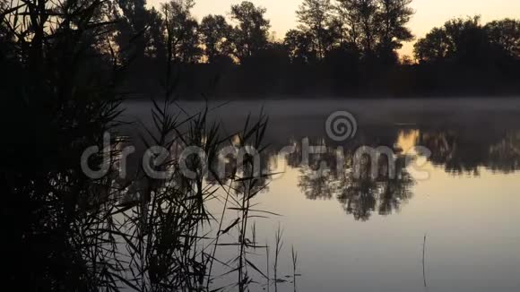 河岸上的日出左侧和河面有芦苇轮廓的景观水面有烟雾视频的预览图