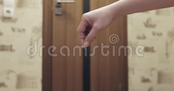 可爱的英国短毛虫吃人手的饲料视频的预览图