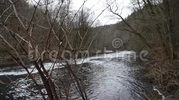 寒冷的秋天河水的气氛视频的预览图