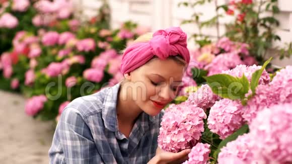 花圃里的宇宙花伴着夕阳美丽的花园花一个国家的女人关心粉红色的花视频的预览图