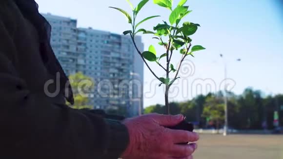 在城市中持有年轻树的高级活动家视频的预览图