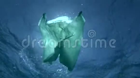 慢动作绿色塑料袋在阳光下慢慢地漂浮在水下表面视频的预览图