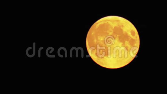 满月在黑色的天空上是黄色的视频的预览图