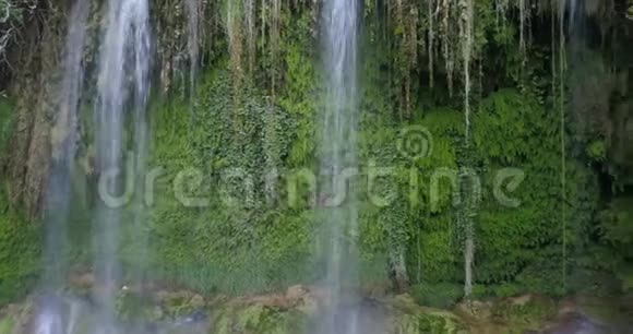 Kursunlu瀑布周围有很多树木和植物4k视频的预览图