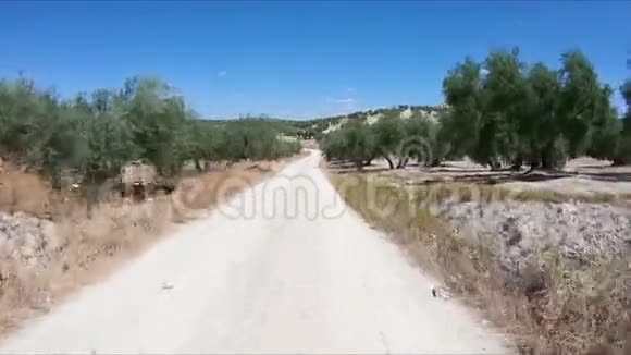 穿过拜纳附近橄榄林的乡村小路视频的预览图