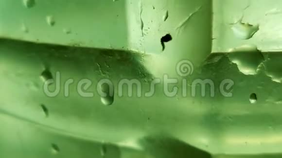 在水瓶里形成婴儿蠕虫蠕虫试图在饮用水中旅行蠕虫在饮用水中视频的预览图