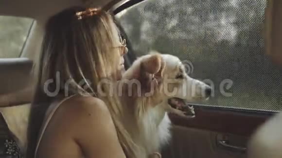夏日旅行中的女人和狗视频的预览图