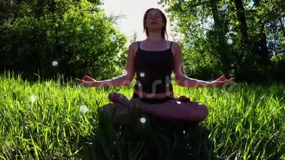 女人在森林里练习瑜伽视频的预览图
