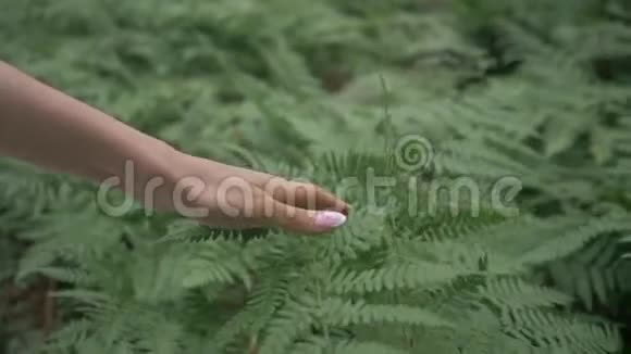 女孩手里拿着漂亮的指甲滑在蕨类植物的叶子上视频的预览图