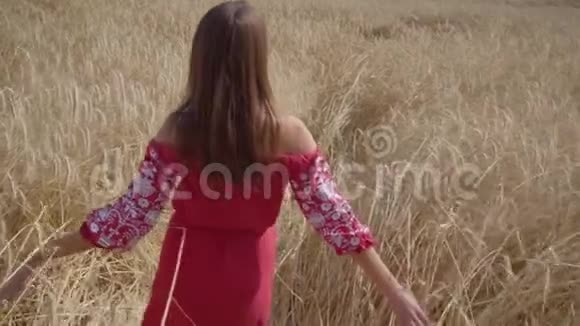 小女孩高兴地走过一片用手摸麦穗的田野享受阳光的无忧无虑的女人视频的预览图