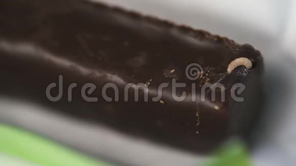 幼虫吃受损的巧克力糖视频的预览图