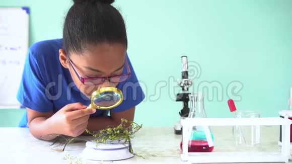 在化学和生物实验室的绿色植物上使用放大镜的非裔美国青少年混血儿视频的预览图