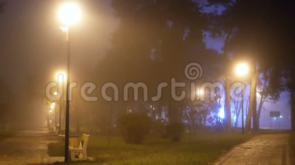 公园灯雾夜视频的预览图