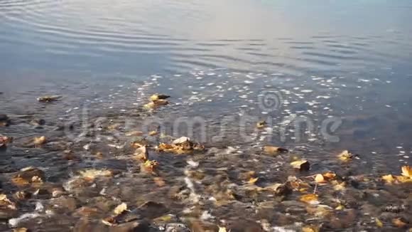 暴风小溪流入湖中视频的预览图