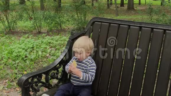 小男孩在公园的长凳上吃饼干视频的预览图