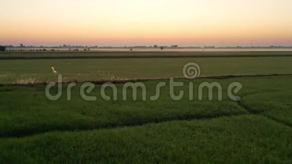 从空中俯瞰太阳升起的田野视频的预览图