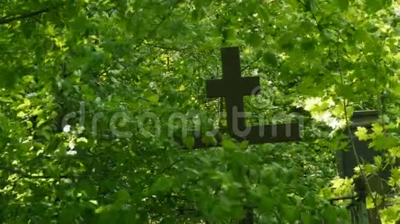 黑十字老墓园视频的预览图