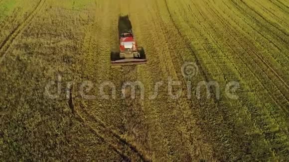 联合收割机在田里除去燕麦秋天的傍晚日落视频的预览图