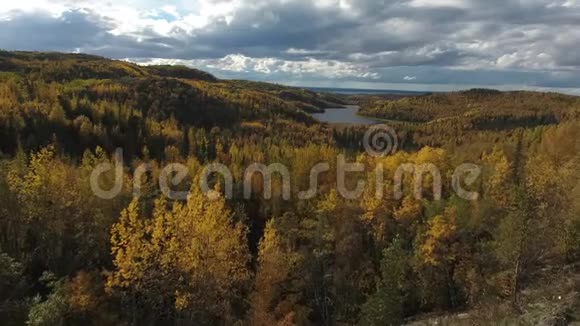 秋日在阿拉斯加的基奈半岛上鸟瞰森林和湖泊视频的预览图
